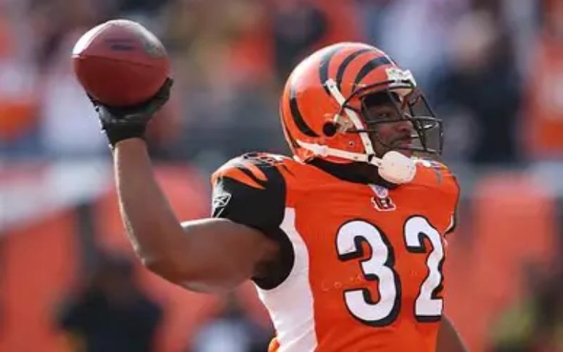 What happened to Rudi Johnson after NFL